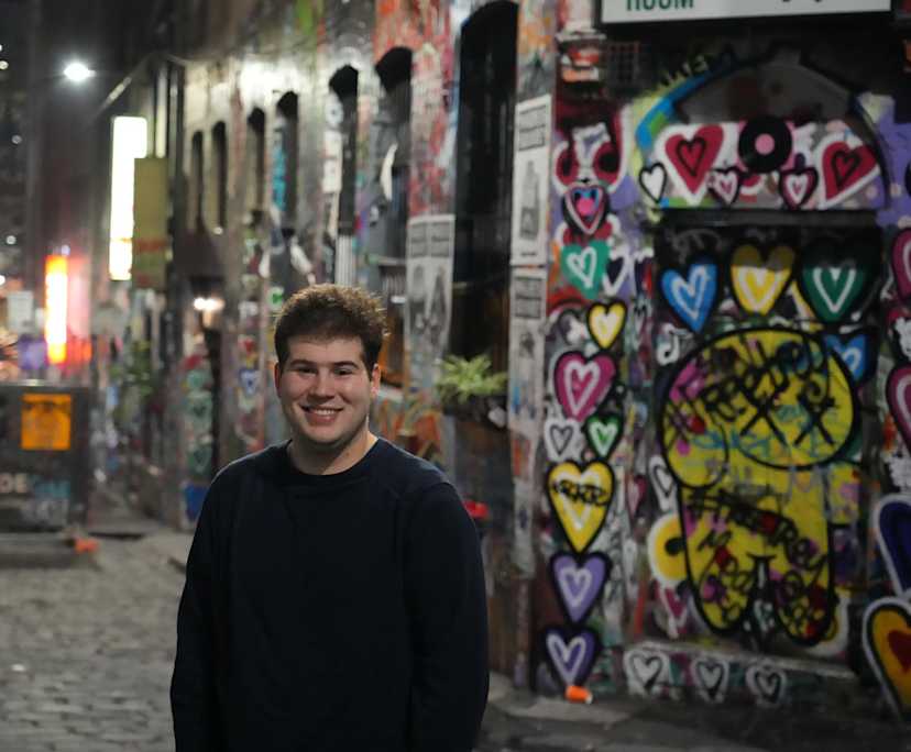 Alex (26), $350, Non-smoker, No pets, and No children