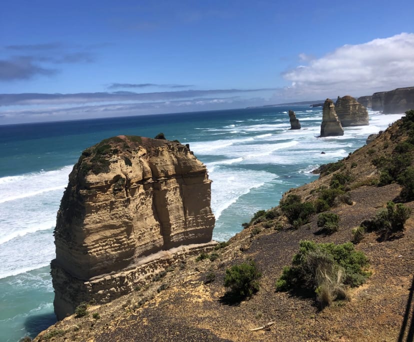 Birtie (99), $250, Non-smoker, No pets, and No children