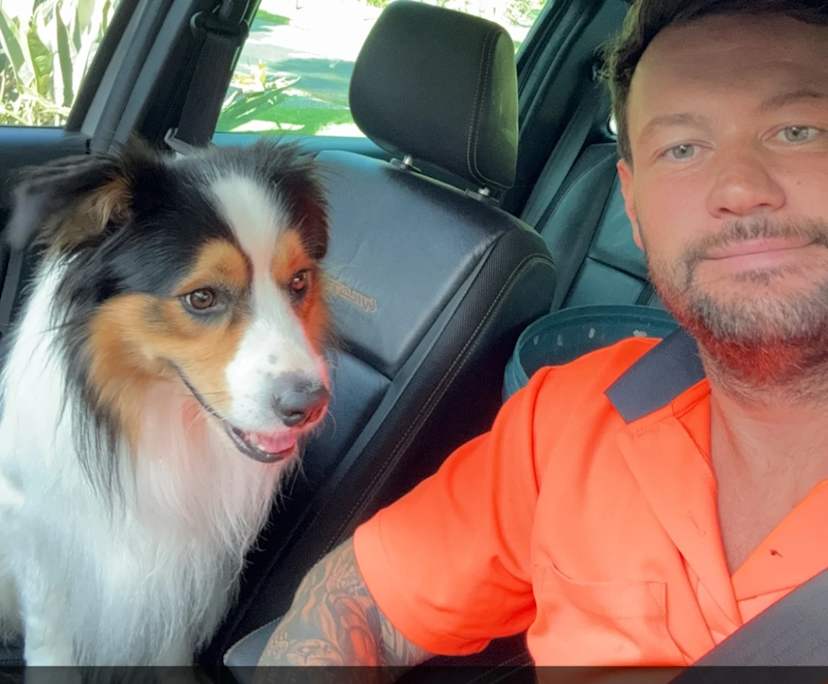 Matthew (32), $300, Non-smoker, Have pets, and No children