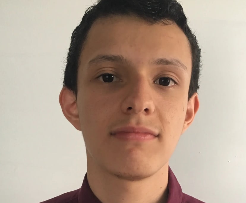 Carlos (25), $250, Non-smoker, No pets, and No children