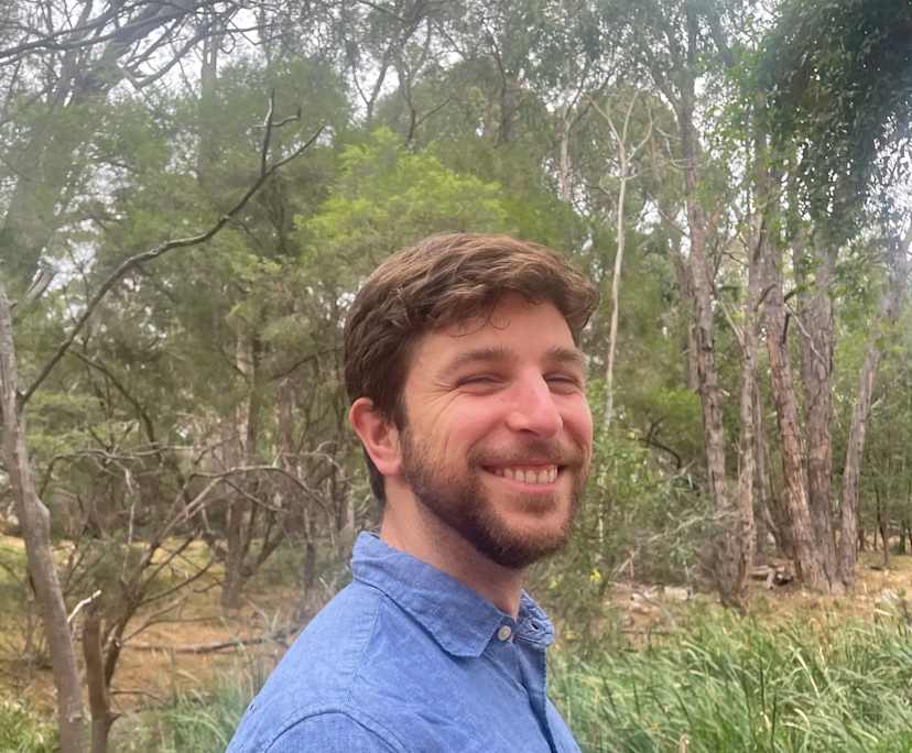 Dorian (32), $250, Non-smoker, No pets, and No children
