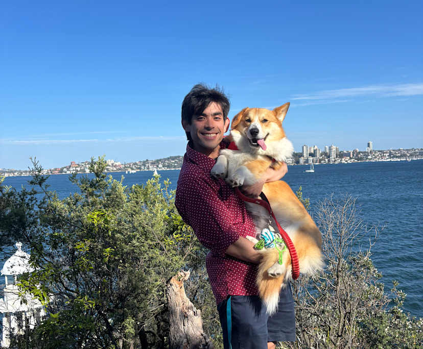 Alex (33), $500, Non-smoker, Have pets, and No children