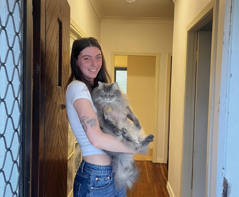 Yolanda (26), $300, Have pets, Non-smoker, and No children