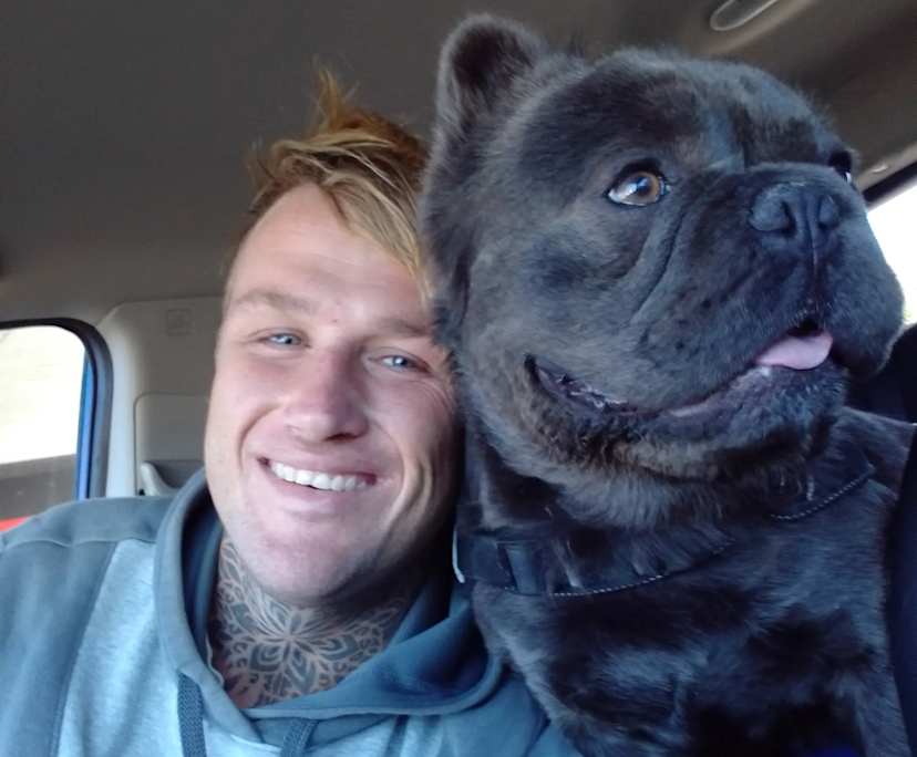 Andrew (31), $350, Non-smoker, Have pets, and No children