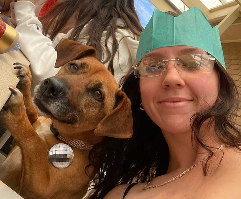 Gras (30), $250, LGBTQIA+, Non-smoker, Have pets, and No children