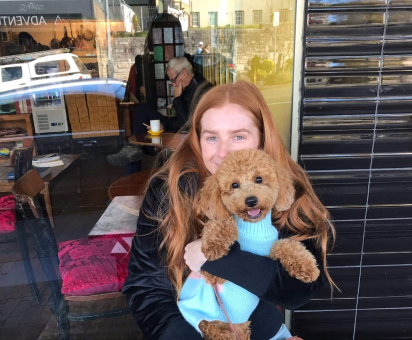 Kate (26), $550, Non-smoker, Have pets, and No children