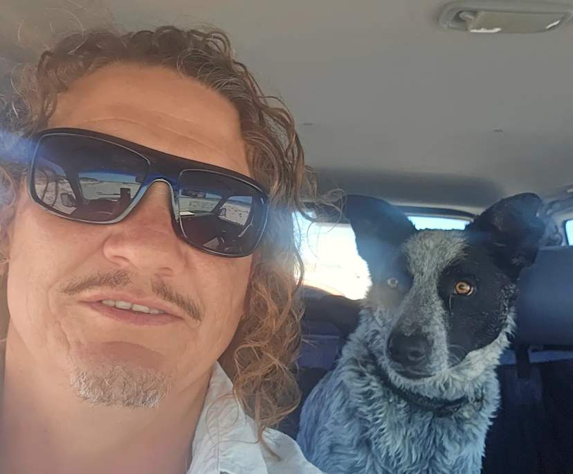 Daniel (46), $300, Non-smoker, Have pets, and No children