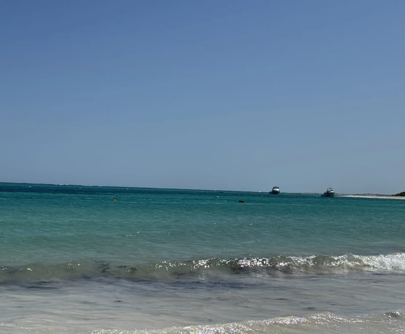 Ashly (28) Looking in Marion, Bedford Park & Aberf...