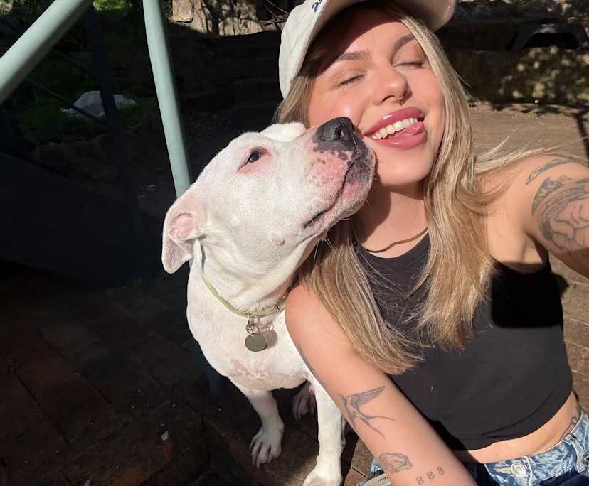 Hannah & bowie (24), $400, LGBTQIA+, Non-smoker, Have pets, and No children