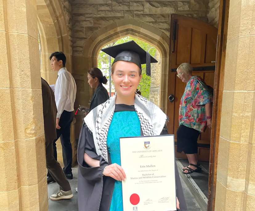 Erin (24), $225, LGBTQIA+, Non-smoker, No pets, and No children