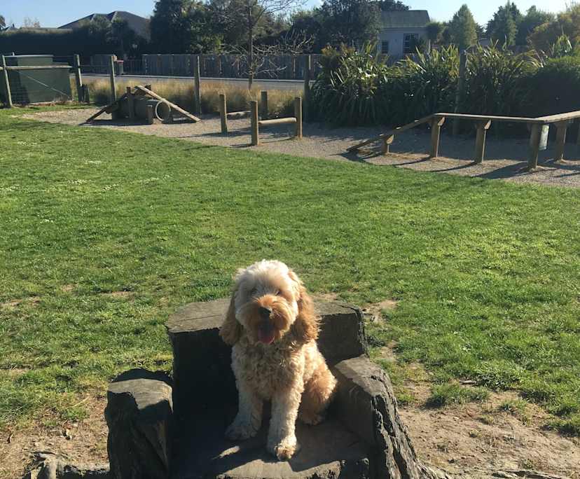 Steve (57) and Tracey (52), $550, Non-smoker, Have pets, and No children