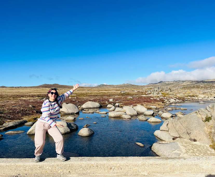 Elyse (26), $200, LGBTQIA+, Non-smoker, No pets, and No children