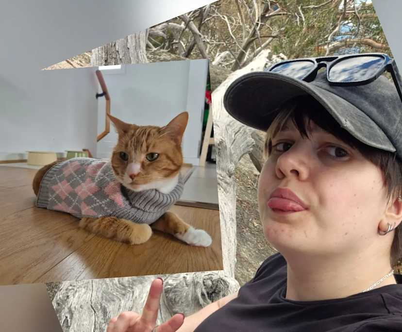 Jay (28), $250, LGBTQIA+, Non-smoker, Have pets, and No children