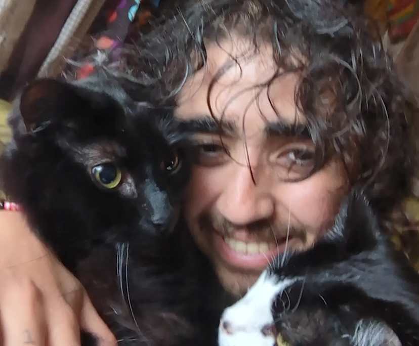 Fahad (25), $300, Have pets, Smoker, LGBTQIA+, Non-smoker, No pets, and No children