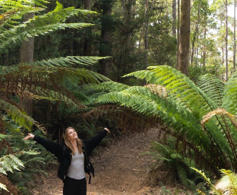 Annieke (23), $300, Non-smoker, No pets, and No children