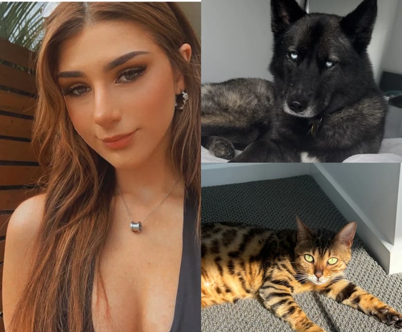 Celeste