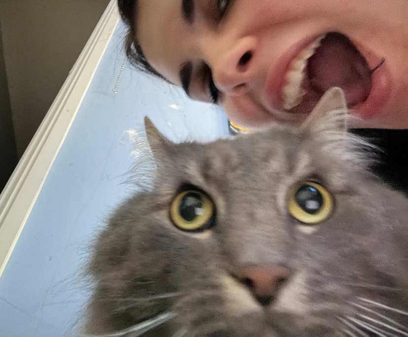 Robin (21), $250, LGBTQIA+, Non-smoker, Have pets, and No children