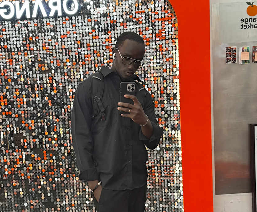 Fallou (24), $250, Non-smoker, No pets, and No children