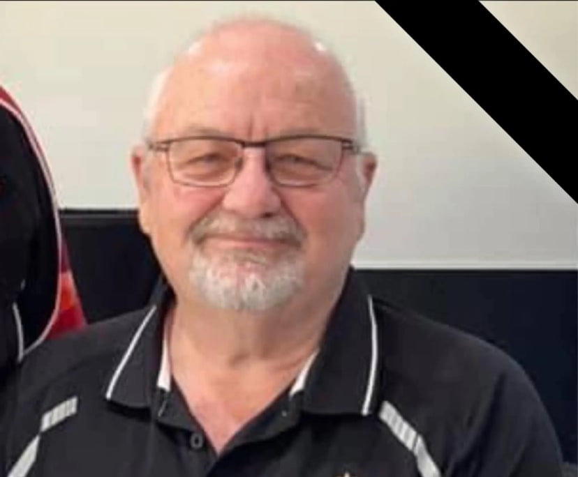 steve-67-looking-in-chirn-park-labrador-bigger-flatmates-au
