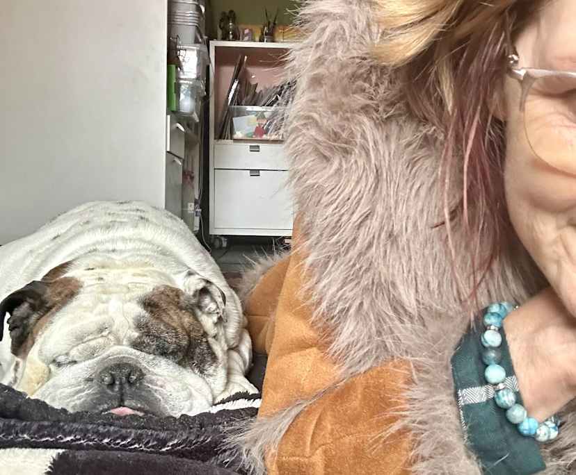 kerri (50), $300, Non-smoker, Have pets, and No children