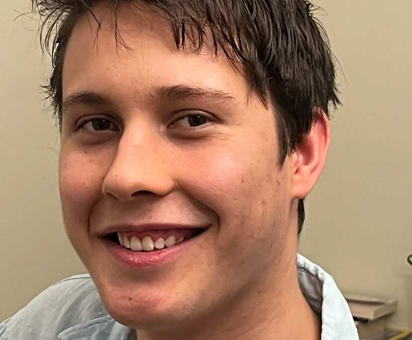 Nicholas (25), $250, Non-smoker, No pets, and No children