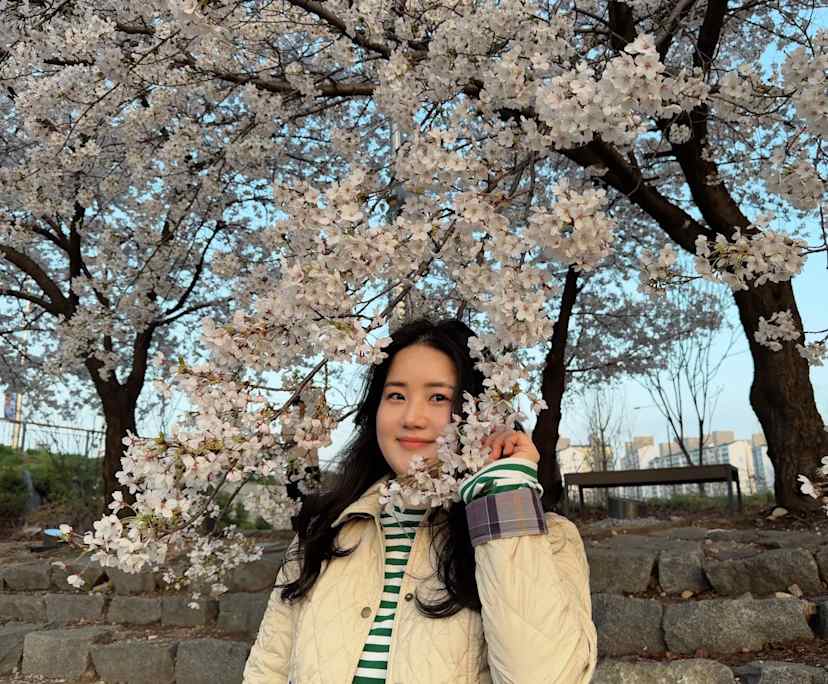 Ah Reum Han
