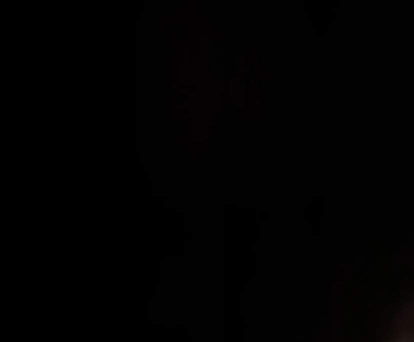 Jason (28) and Shannon (32), $550, Non-smoker, Have pets, and No children