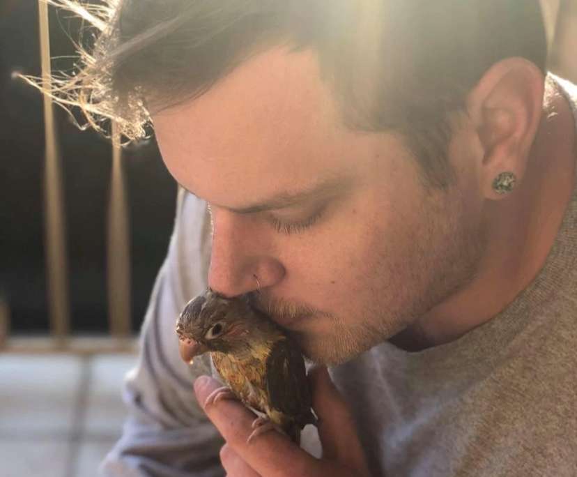 Kris (33), $275, Non-smoker, Have pets, and No children