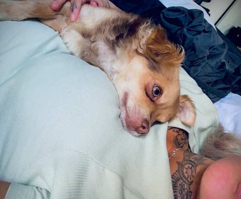 Meg