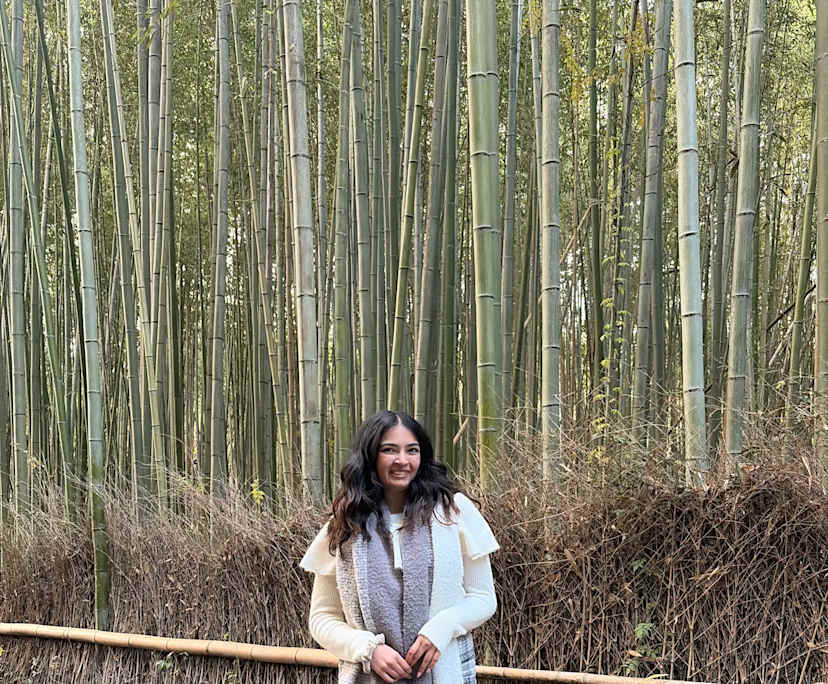 Hetvi (23), $350, Non-smoker, No pets, and No children