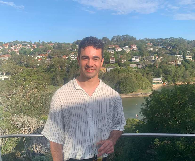 Dom (28), $300, Non-smoker, No pets, and No children