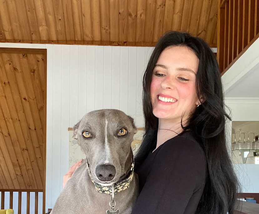 Rhe (29), $220, Have pets, Non-smoker, and No children