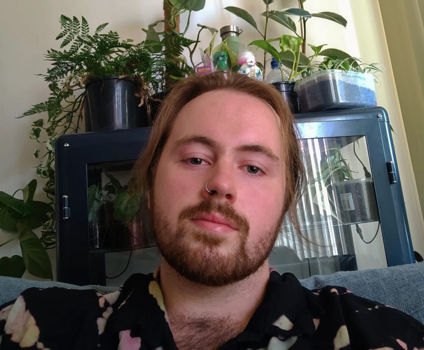 Josh (25), $200, Non-smoker, No pets, and No children