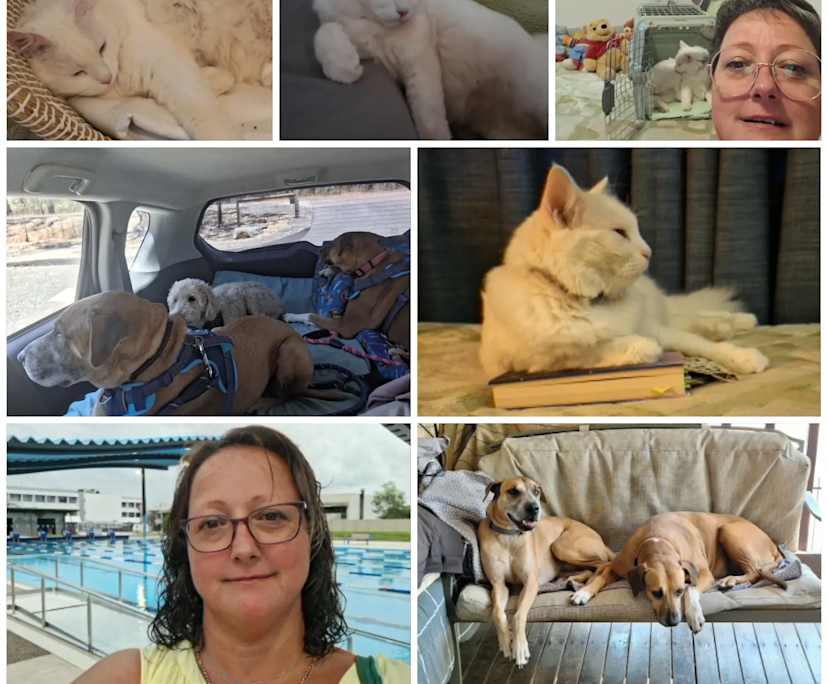 SamanthaNorman (53), $500, Non-smoker, Have pets, and No children