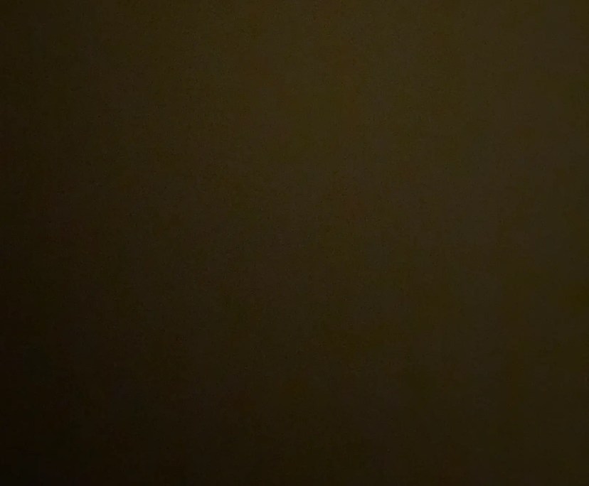 Nikita