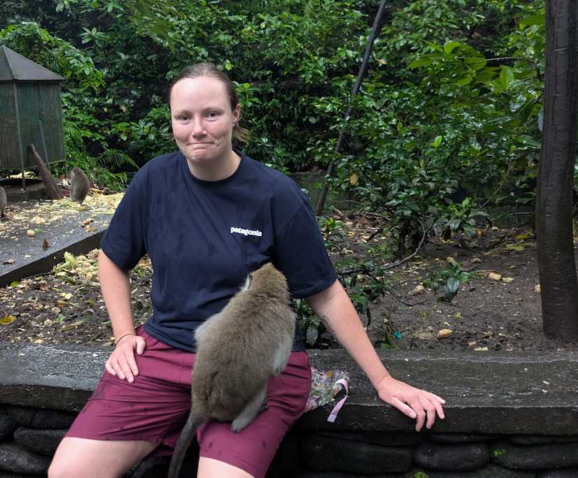 Casey (29), $275, LGBTQIA+, Non-smoker, Have pets, and No children