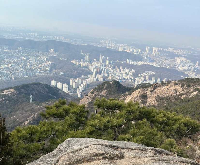 jimmy (27), $300, Non-smoker, No pets, and No children