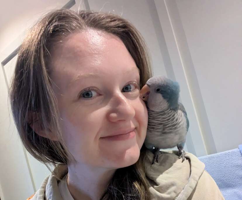 Jamie (36), $400, Non-smoker, Have pets, and No children