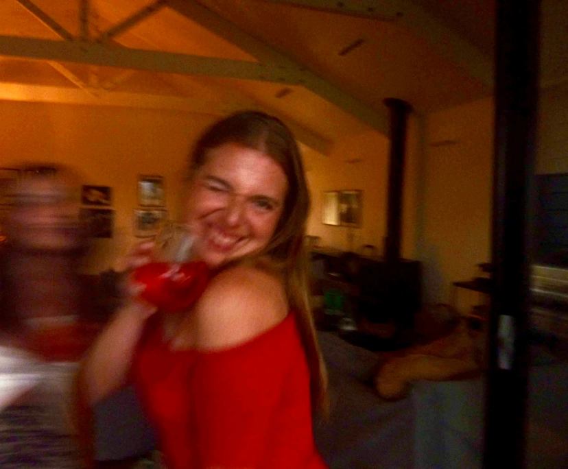 Julia (28), $380, Non-smoker, Have pets, and No children