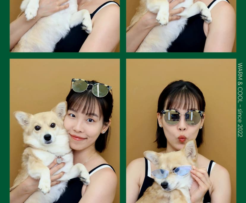 Alice (28), $230, Non-smoker, No pets, and No children