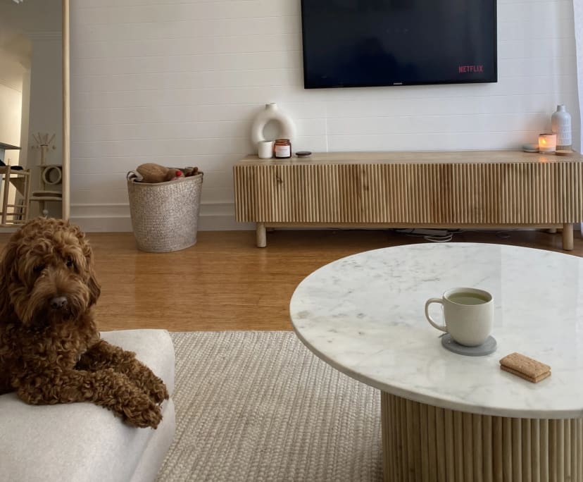 Kayley (24), $400, Non-smoker, Have pets, and No children