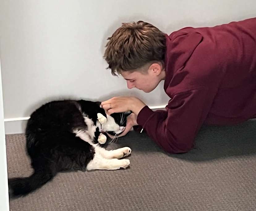 Luna (22) and Laura (21), $350, Non-smoker, No pets, and No children