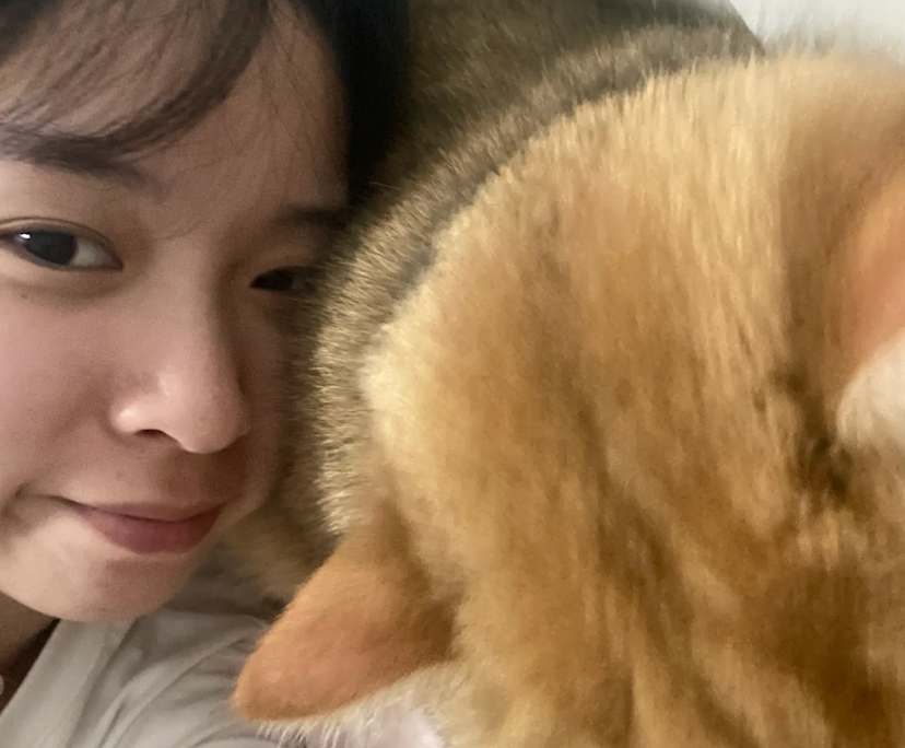 Wenjing