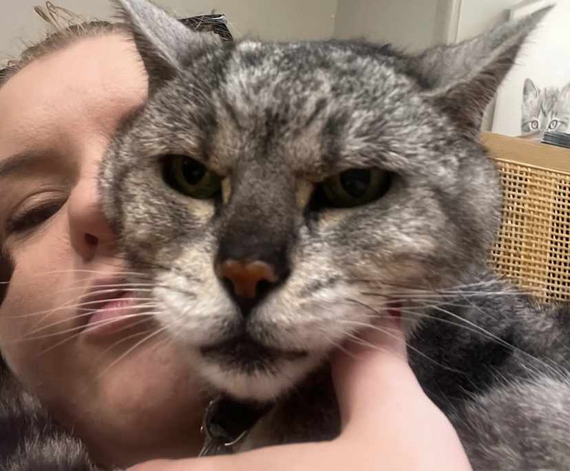 Teee (38), $450, Non-smoker, Have pets, and No children