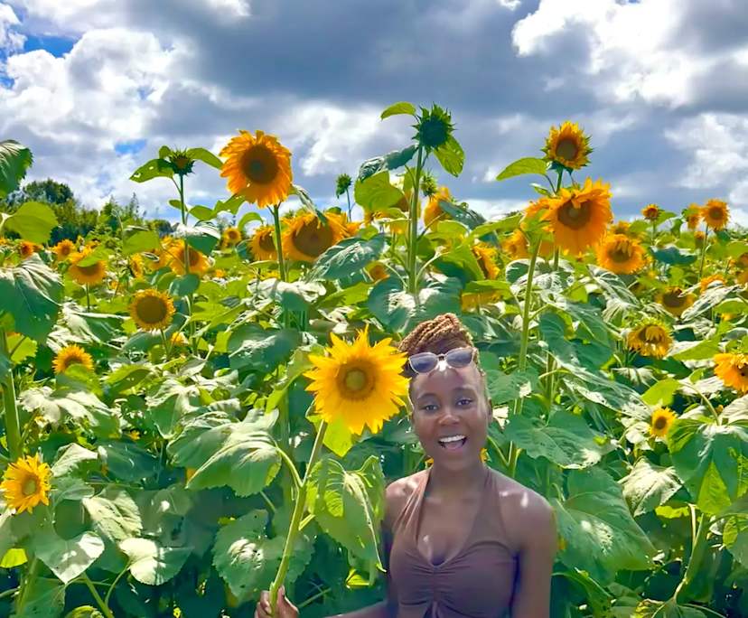 Patience (29), $280, 