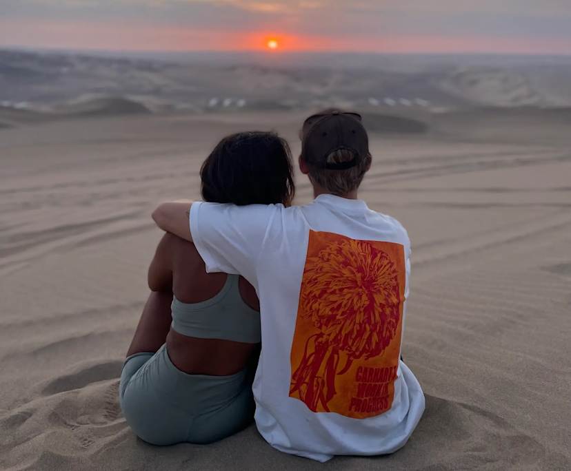 Thomas (25) and Reagan (25), $800, Non-smoker, No pets, and No children