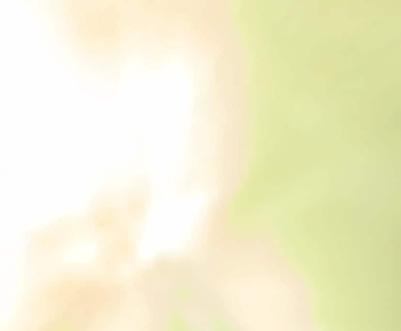 Aishmeen (25), $200, 