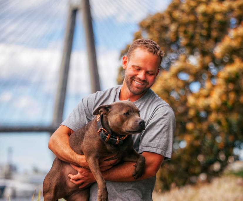 Tom (32), $1,000, Non-smoker, No pets, and No children