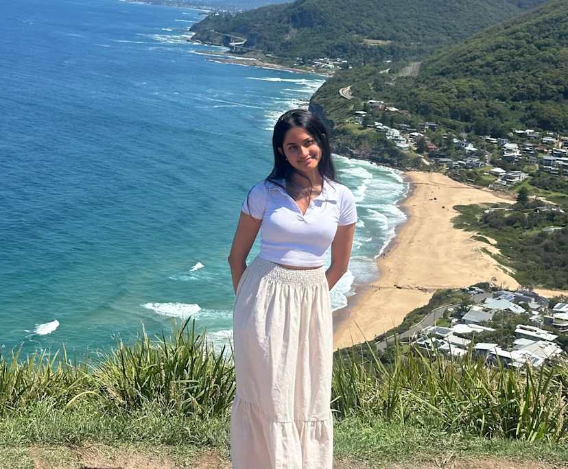 Rutu (25), $300, Non-smoker, No pets, and No children