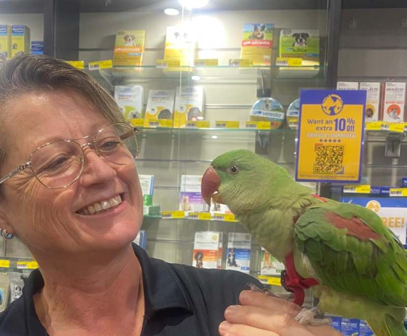 Samantha (55), $300, Have pets, Smoker, and No children